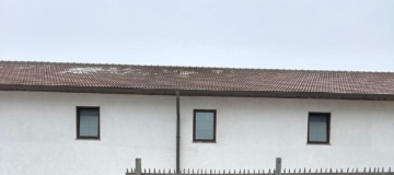 20260124_Birnstinglschiessen alle